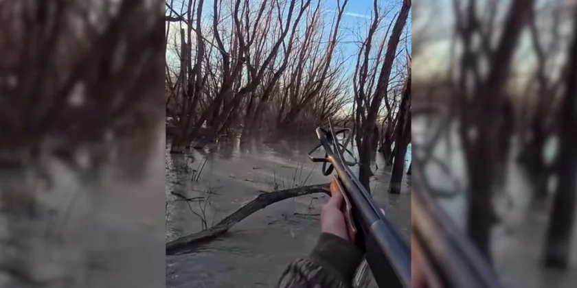 fusil explose