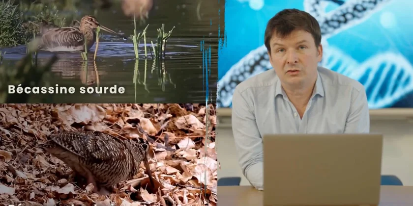 genomique de conservation