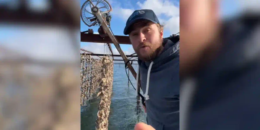 ostréiculteur accusé de maltraitance animale