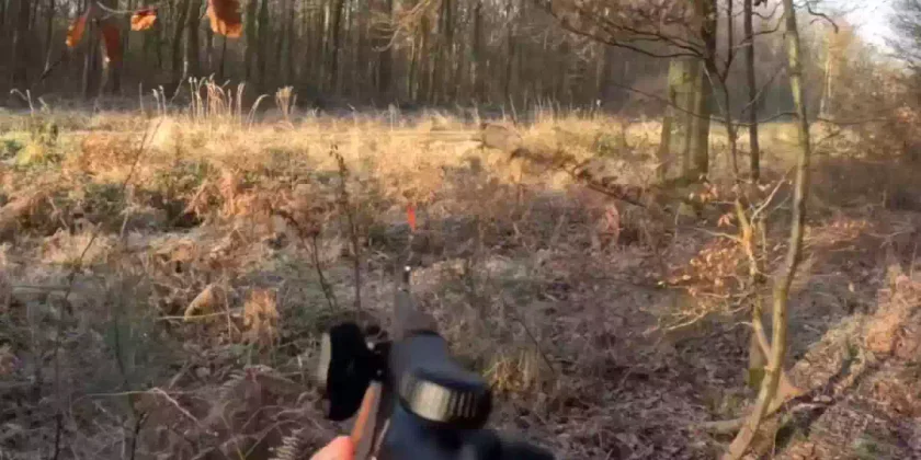 Premier keiler pour un jeune chasseur