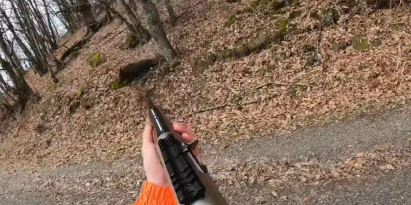 premier sanglier d'un jeune chasseur
