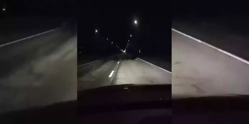 prudence-sur-les-routes-a-cause-des-sangliers