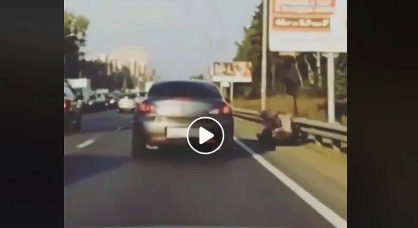Vidéo : un motard percuté de plein fouet par un orignal