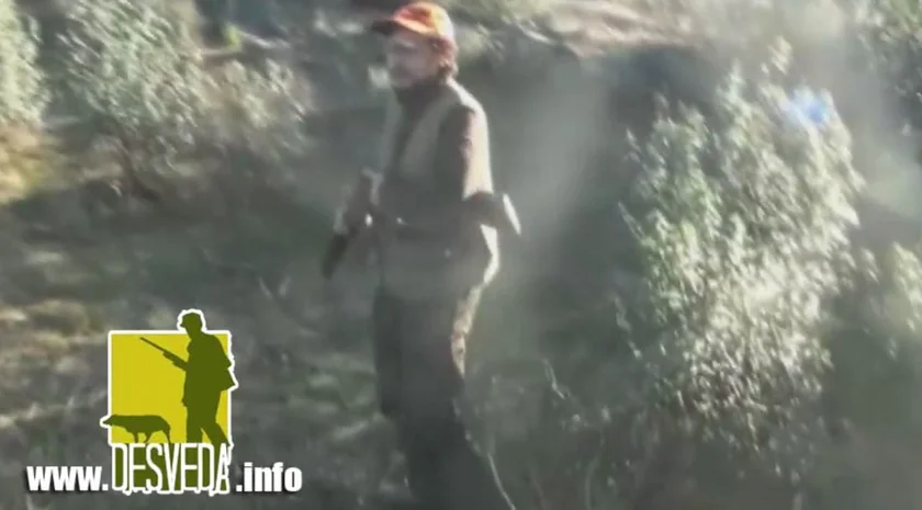 Vidéo : il attrape une bécasse entre ses jambes !
