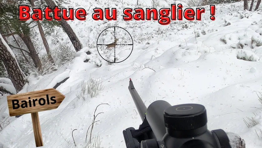 [Vidéo] Un superbe triplé de sangliers !