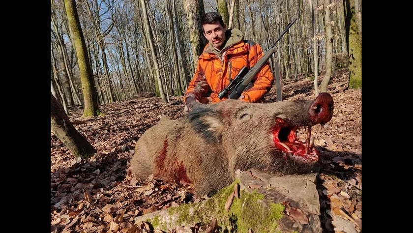 [Vidéo] Battue aux sangliers