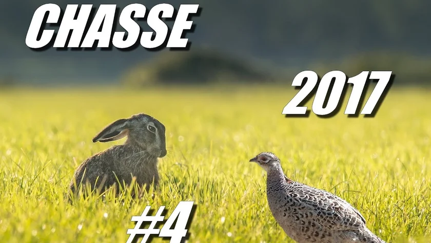Vidéo : la chasse aux petits gibiers en France