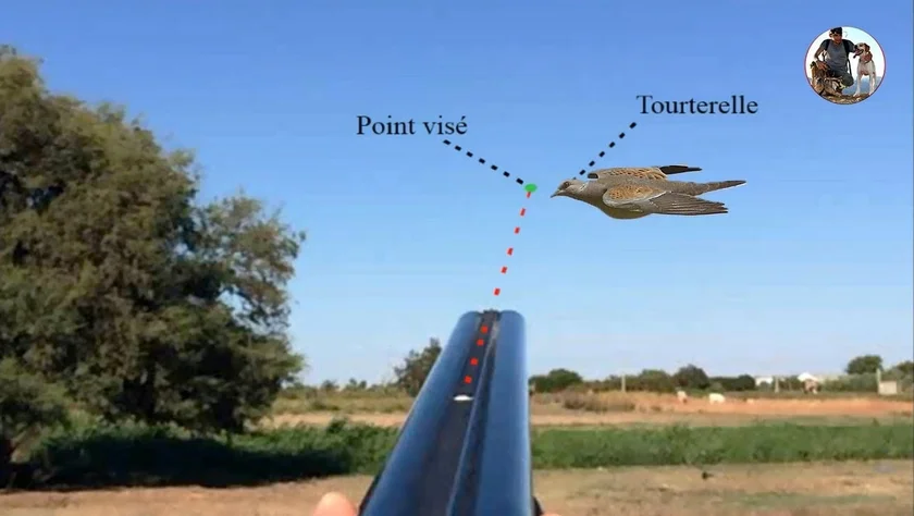 Vidéo : point visé et point touché : explications