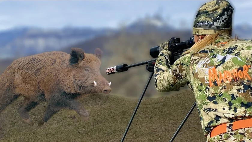 Vidéo : superbe compilation de 50 tirs d’animaux