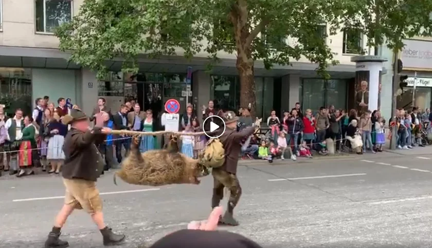 Vidéo : en Allemagne les chasseurs défilent dans les rues