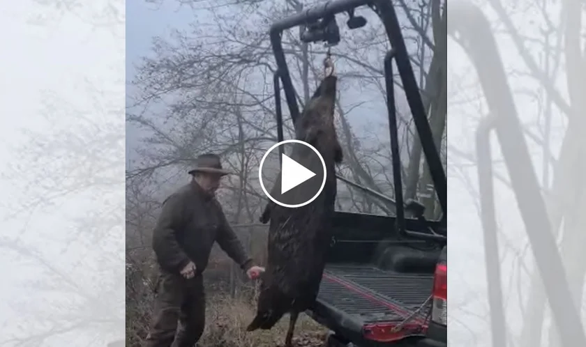 [Vidéo] Un véhicule au top équipé d’un portique pour hisser le gibier
