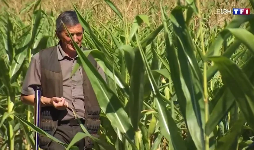 [Vidéo] Reportage TF1 sur l’ouverture de la chasse