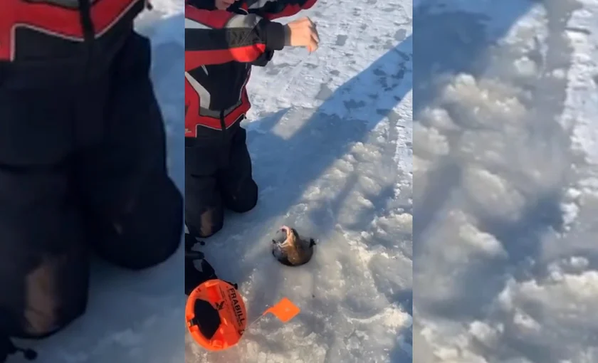 [Vidéo] Quand chasse et pêche ne font qu’un
