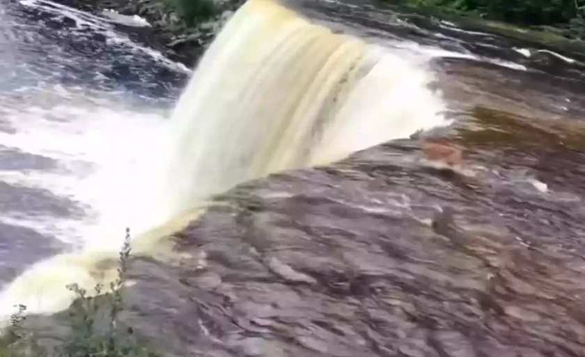 [Vidéo] Un cerf saute d’une cascade
