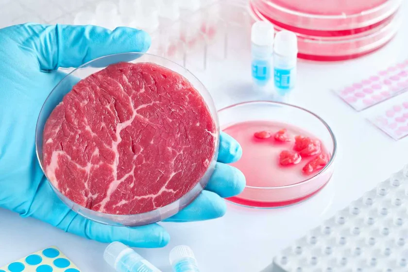 [Video] Enquête sur la viande cellulaire et ses machinations