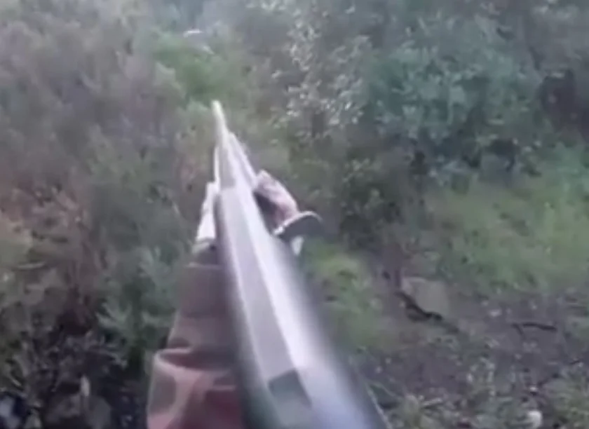 [Vidéo] Un sanglier charge une chasseresse, elle se défend en lui tapant dessus avec son arme