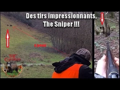 [Vidéo] Des tirs impressionnants ! Chasse aux sangliers en battues !
