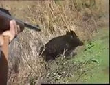 Vidéo : le parfait exemple de ce qu’il ne faut pas faire