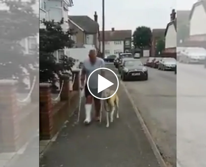 [Vidéo] Son chien se met à boiter pour lui ressembler !
