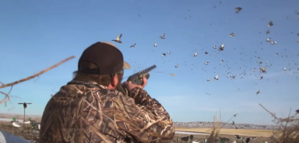 [Vidéo] Browning nous emmène à la chasse avec son Maxus 2