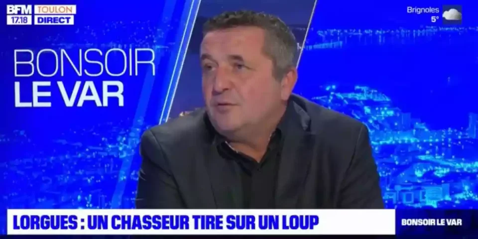 Laurent Faudon au sujet du chasseur qui a tiré sur un loup