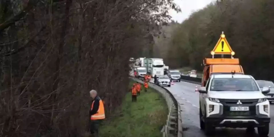 chasse aux sangliers sur la rocade de Poitiers