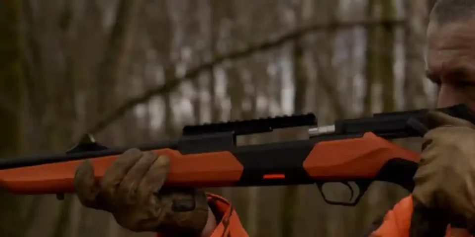 BRX1 Wild Boar