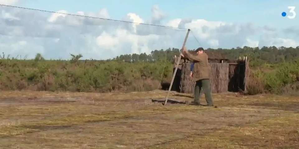 Chasse aux pantes