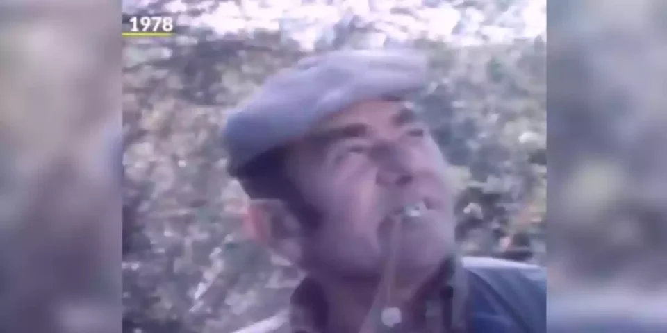 chasse des grives en 1978