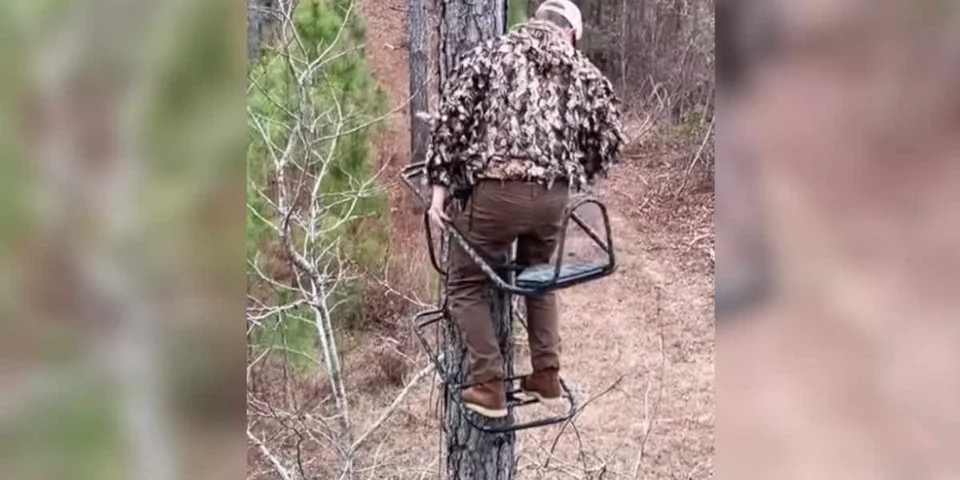 chasseur au treestand