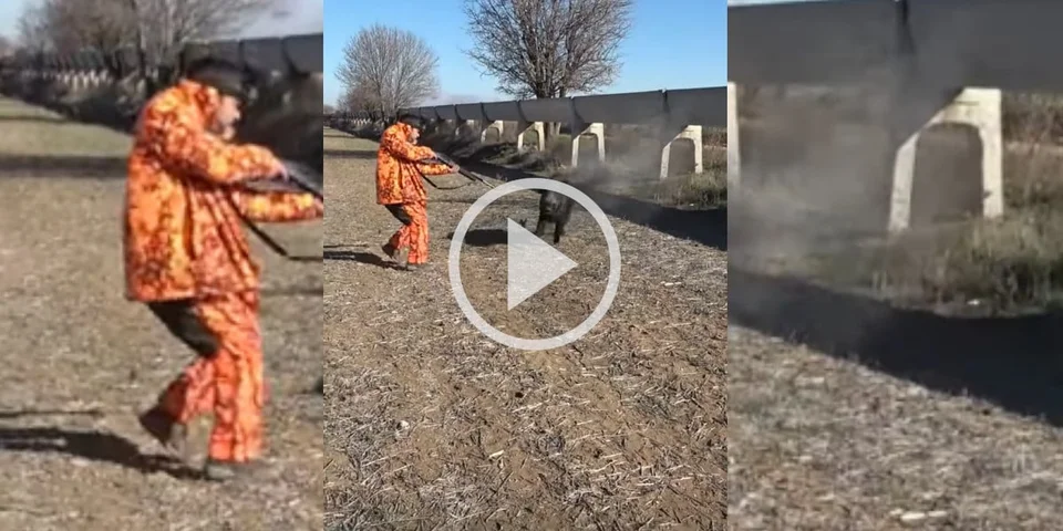 [Vidéo] Un sanglier déboule droit sur un chasseur qui le tire de justesse