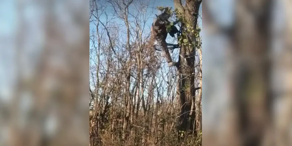 chasseur tombe d'un treestand