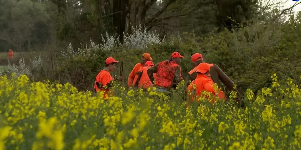 chasseurs Briec