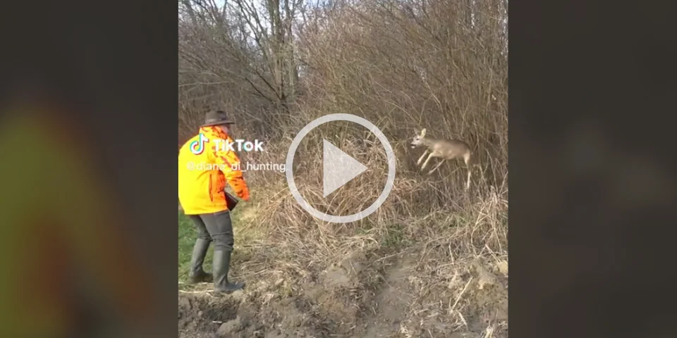 [Vidéo] Un chevreuil fait un bond étonnant juste devant un chasseur posté