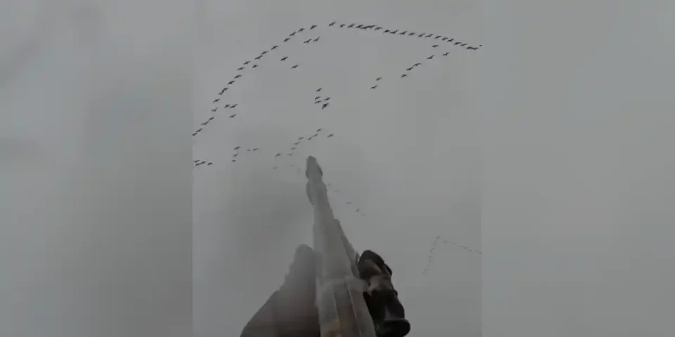 coup de longueur