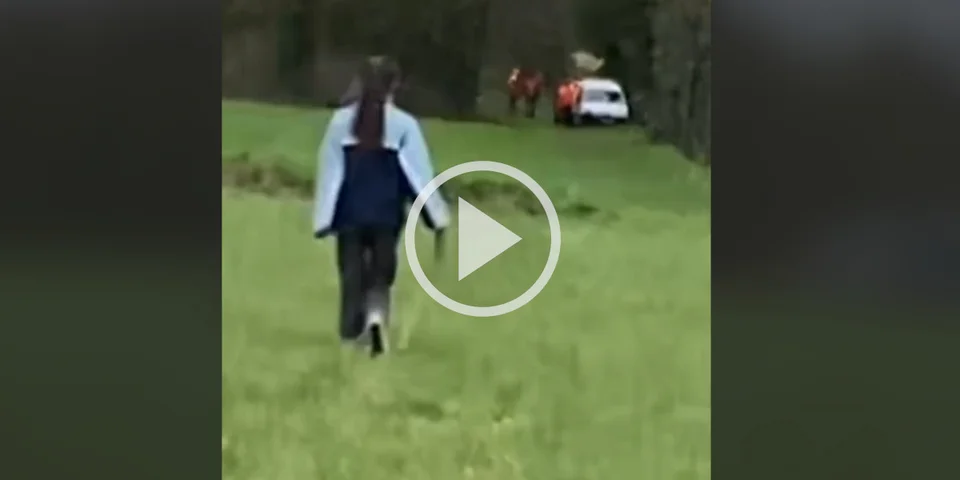 [Vidéo] Des anti-chasse hurlent, insultent et traitent les chasseurs de « nazis »
