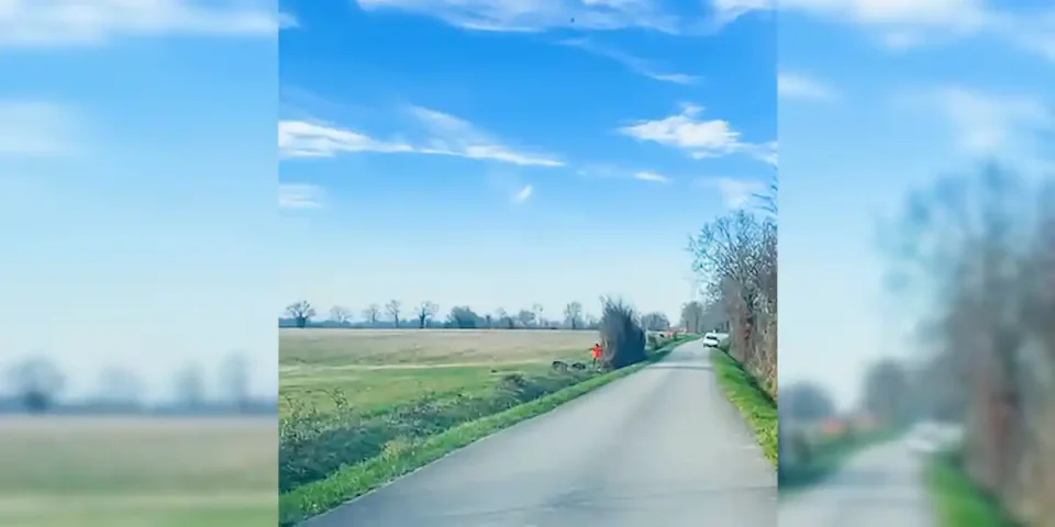 deux sangliers en une balle