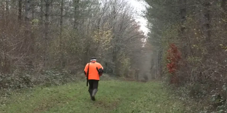docu-sanglier