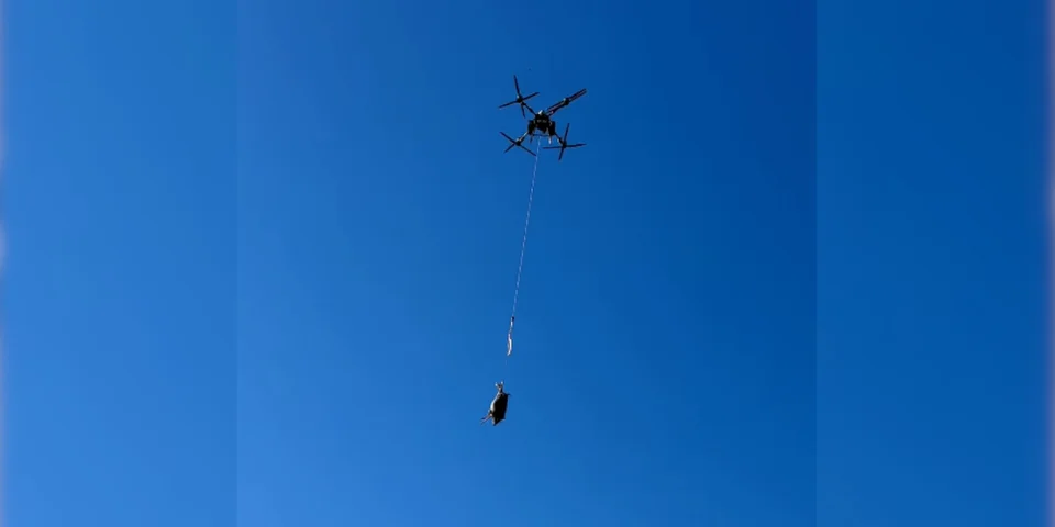 drone chasse