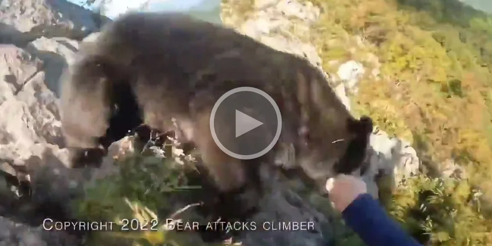 [Vidéo] Un homme qui faisait de l’escalade se bat pour sa vie contre un ours