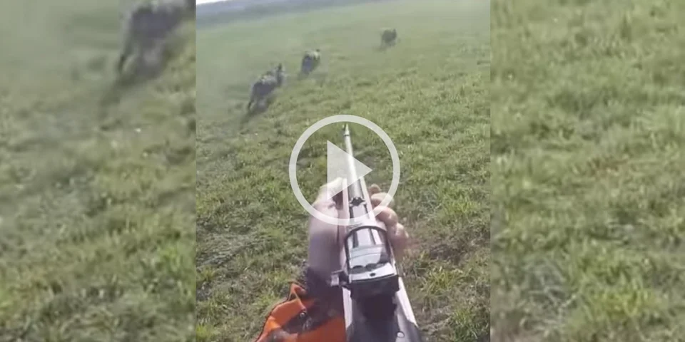 [Vidéo] Trois sangliers dans les pieds et pourtant un beau loupé!
