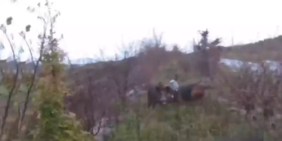 le cri d'un chasseur chargé par un sanglier