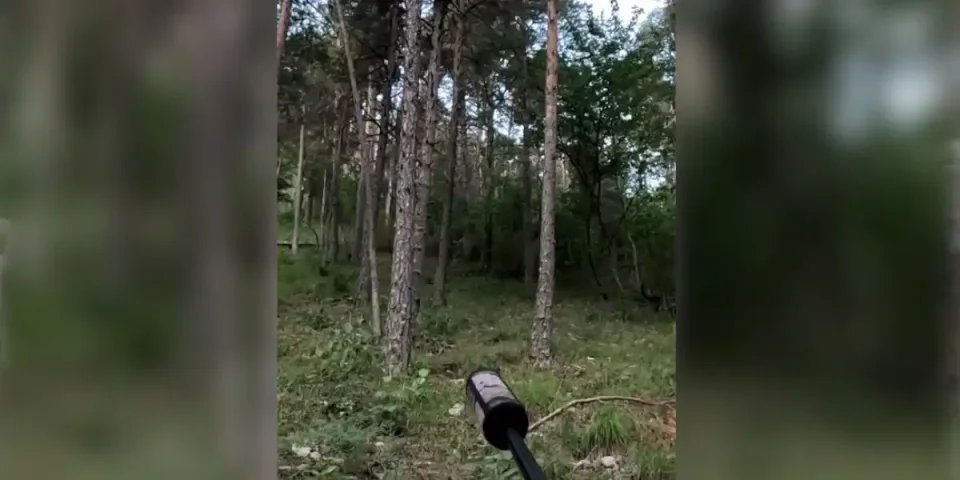 [Vidéo] Un petit loupé sur un petit sanglier