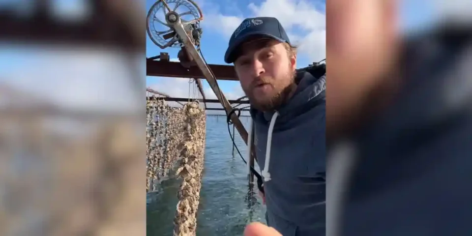 ostréiculteur accusé de maltraitance animale