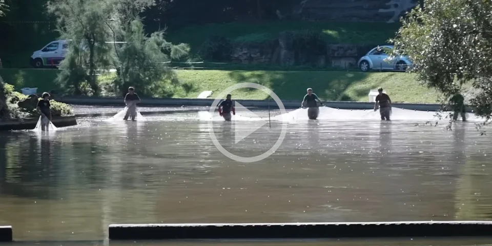 pêche de sauvegarde au lac des buttes-chaumont
