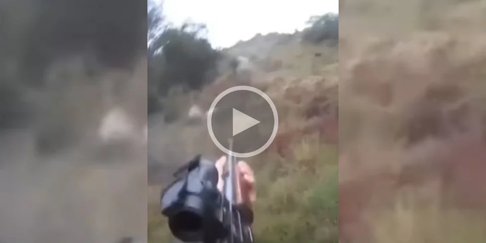 [Vidéo] Un posté prélève un sanglier blanc en pleine course