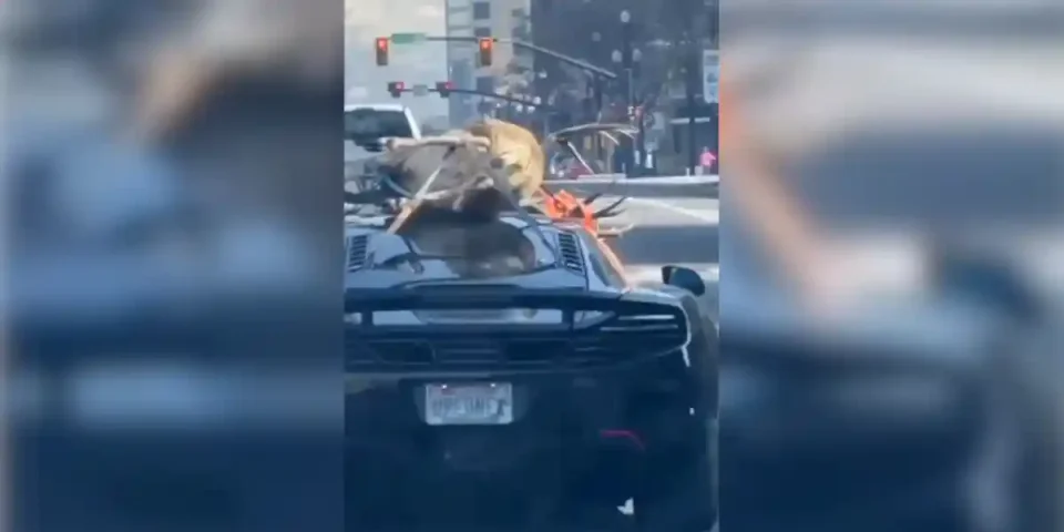 problème de chasseur riche