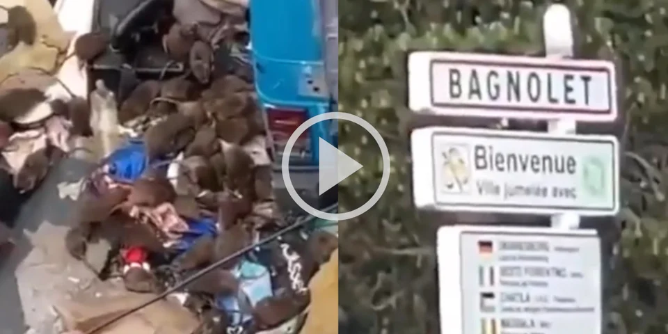 [Vidéo] La propreté et la saleté extrême, grouillante de rats, sur une même voie parisienne