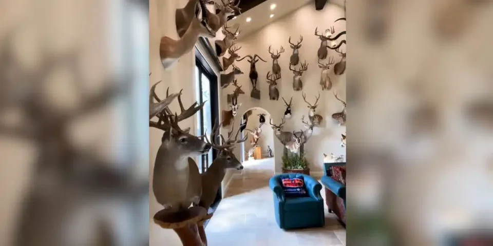 [Vidéo] Une salle des trophées impressionnante