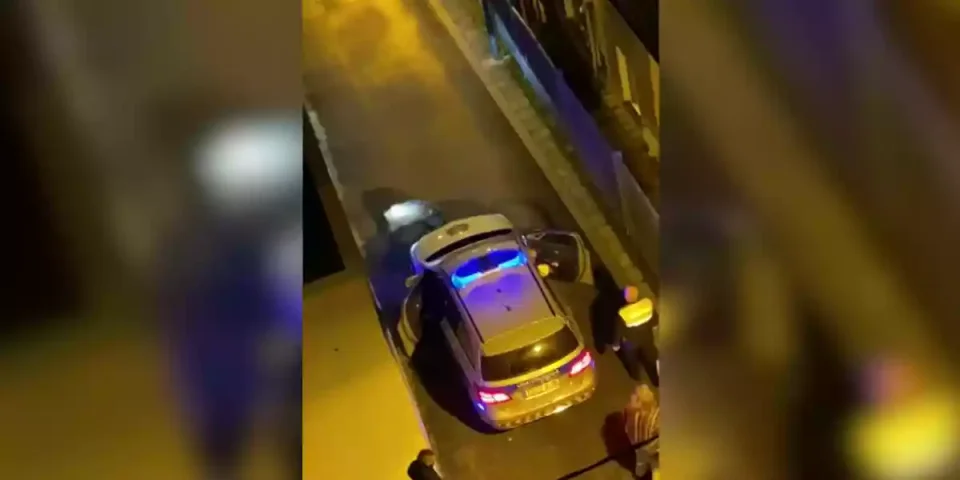 sanglier face aux policiers basques